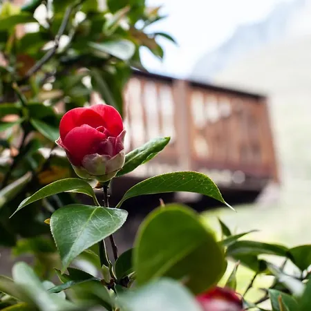 Casa Scacco D' Argento Holiday home *